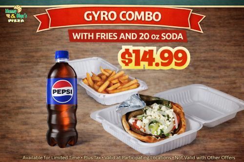 Gyro Combo 20oz  14.99